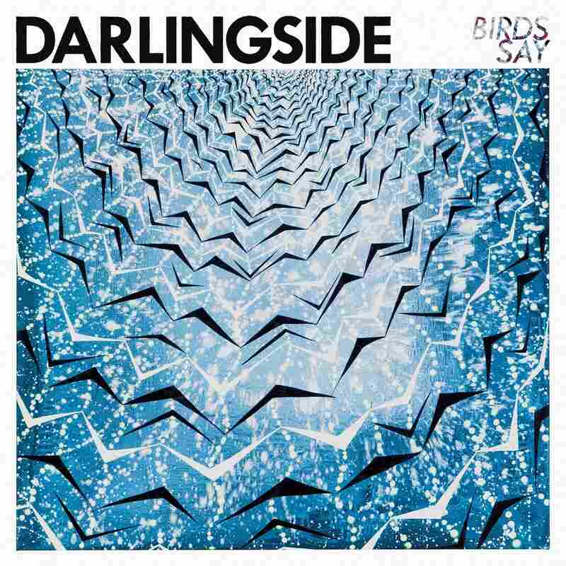 Darlingside, Birds Say