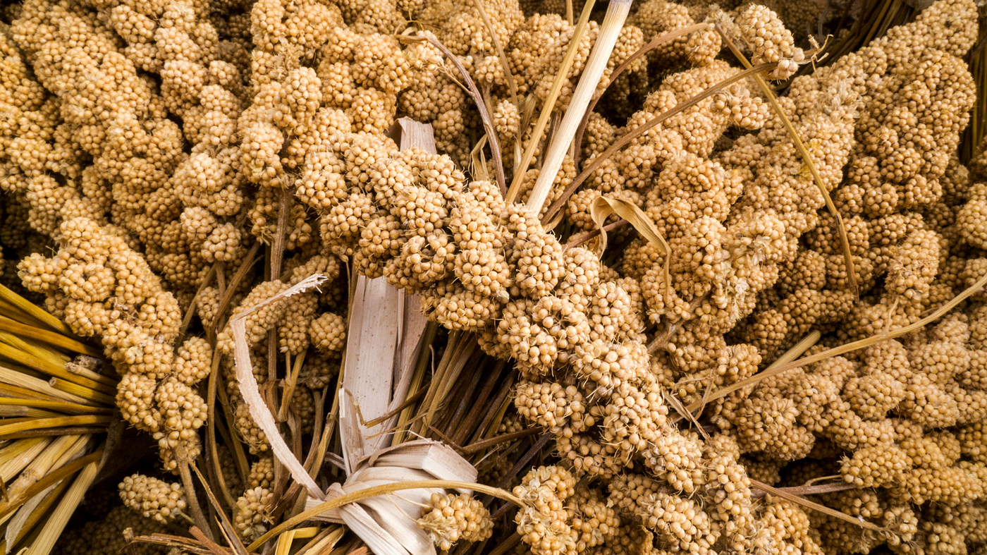 MILLET