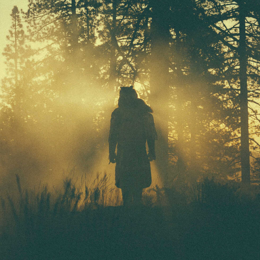Thundercat's The Beyond/Where Giants Roam