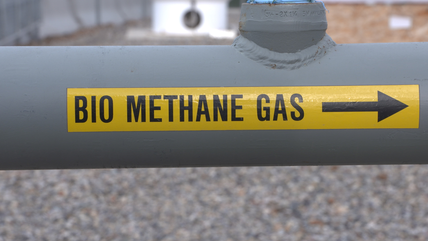 From Poop To Power Colorado Explores New Sources Of Renewable Energy NPR