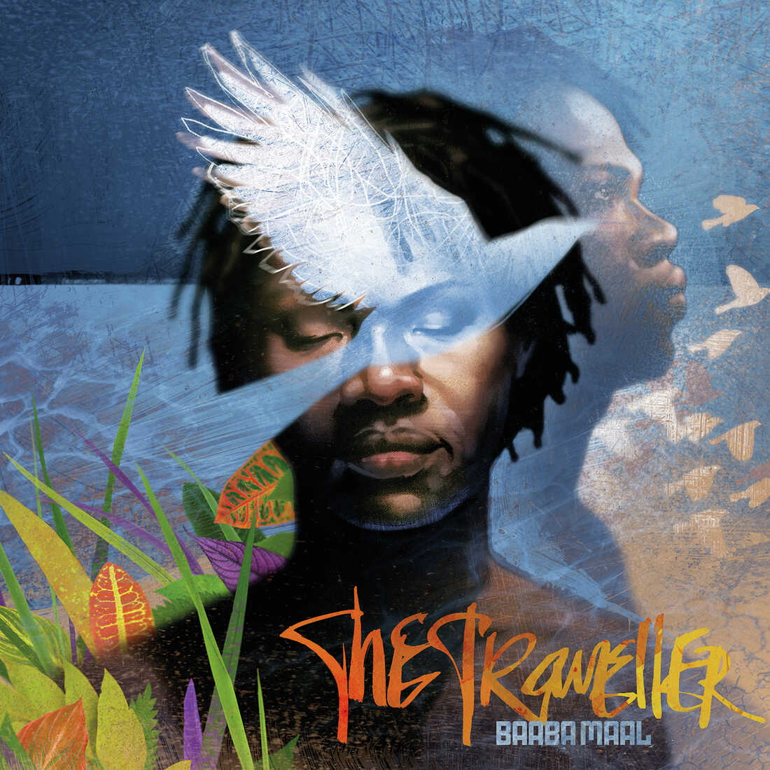 Cover for Baaba Maal, The Traveller