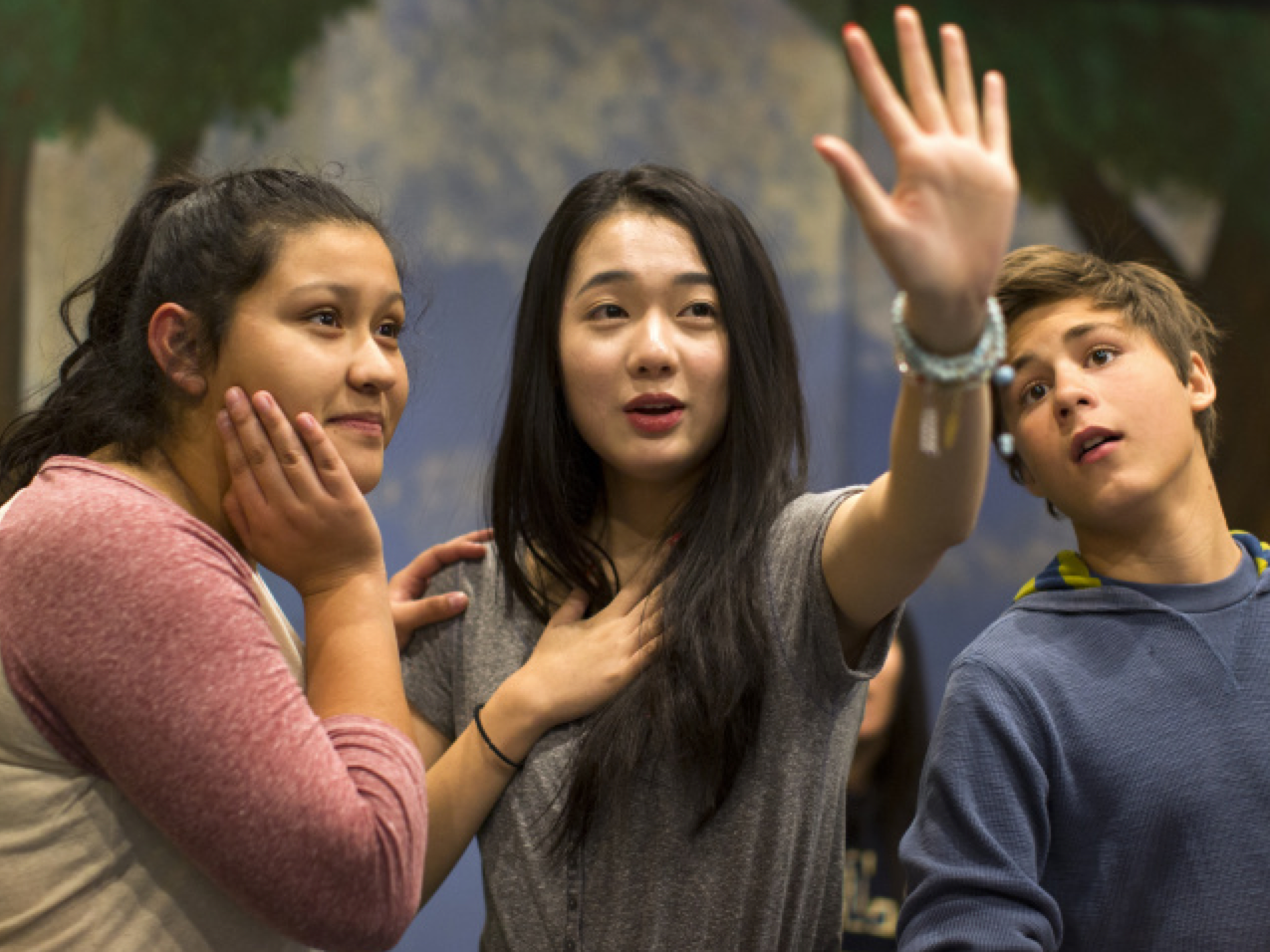 chinese high school students