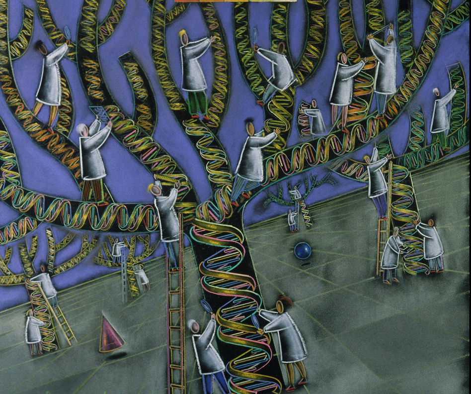 Scientists have the ability to use DNA from three adults to make one embryo. But should they? (A. Dudzinski/Science Source)