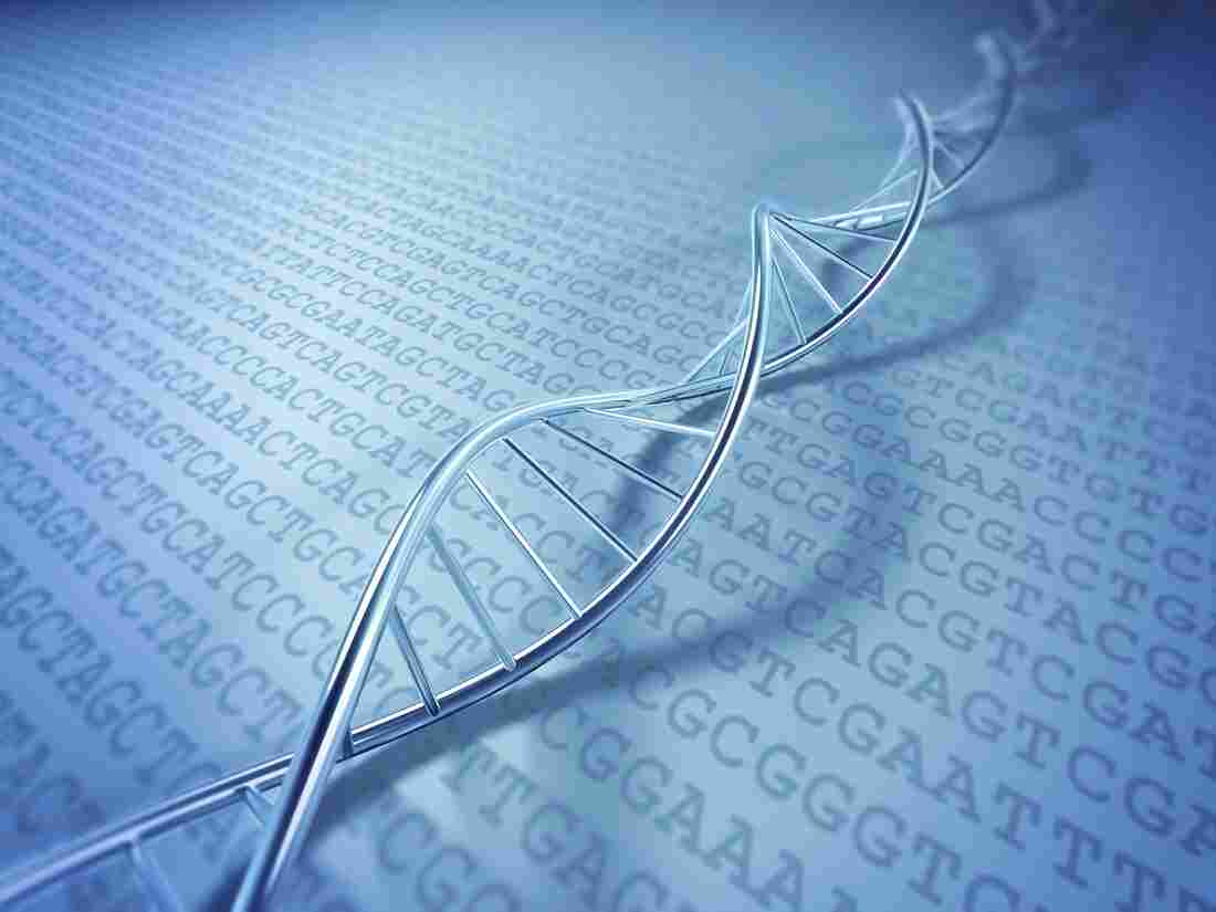 A rendering of a strand of DNA.