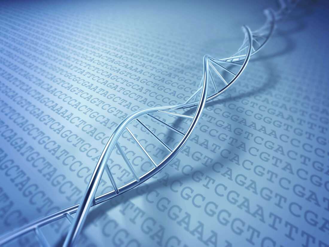 A rendering of a strand of DNA.
