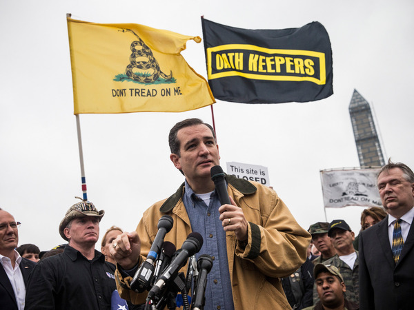 Ted Cruz, pictured here at a 2013 rally in Washington, D.C., enjoys support from the Tea Party, one of the strongest anti-establishment forces in the past few years.