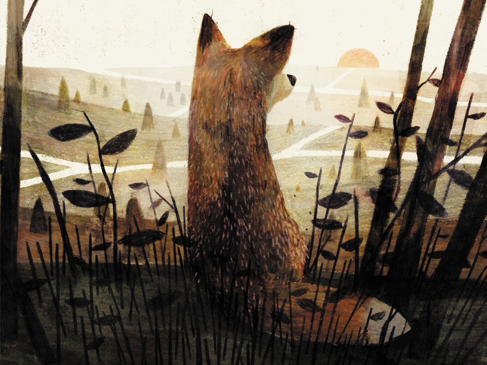 Pax (Hardcover) | Third Place Books