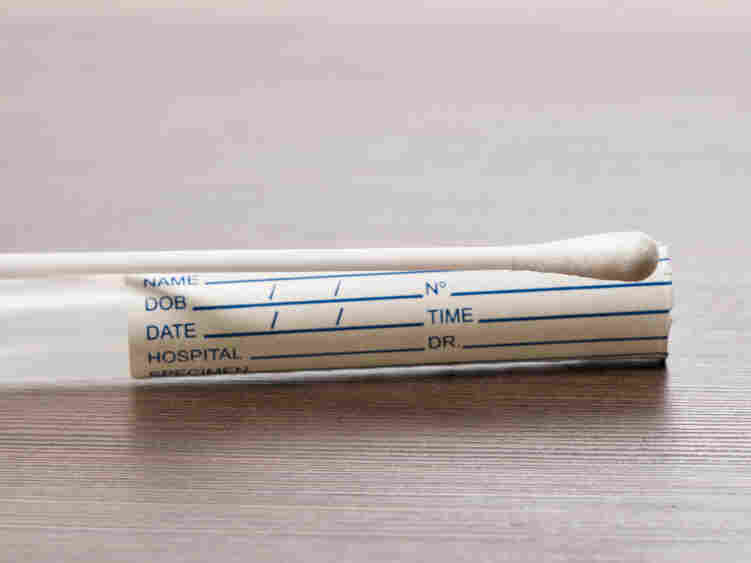 Can a DNA test determine your true ethnicity?