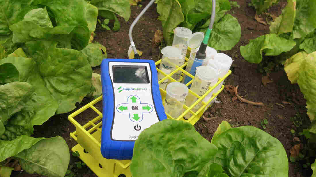 A sensor.
