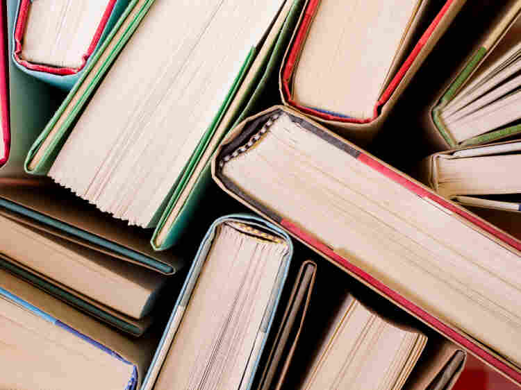 Alva Noë discusses Carlo Rovelli's Seven Brief Lessons on Physics.