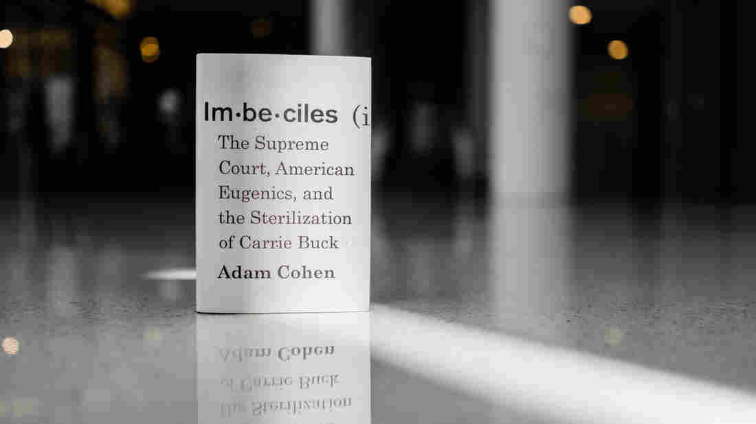 Cover image of Imbeciles, by Adam Cohen.