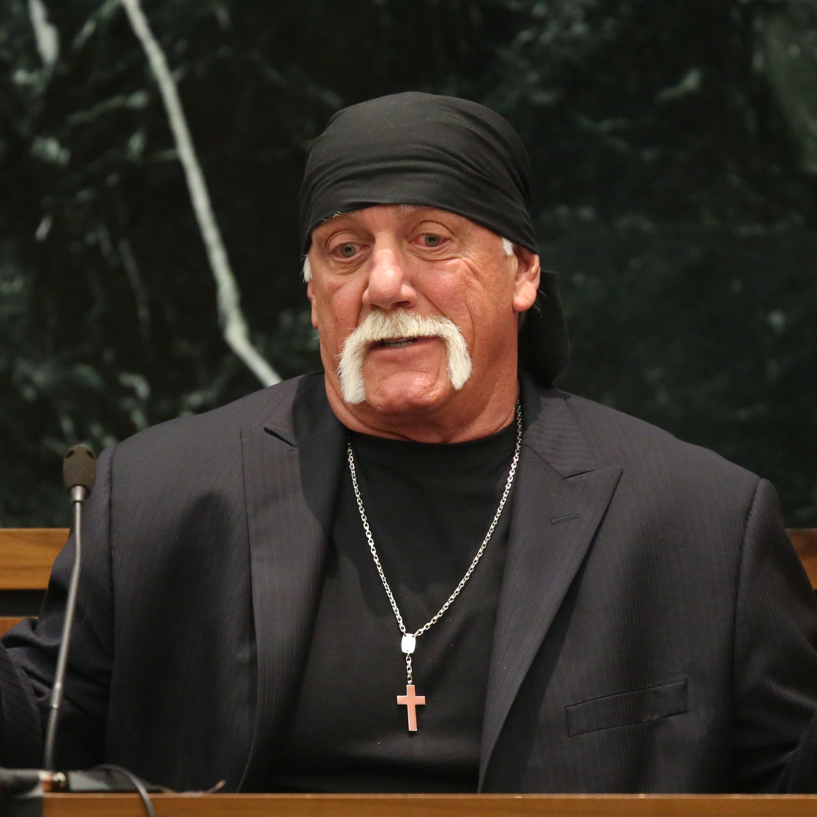 Hulk Hogan, whose real name is Terry Bollea, testifies in court on Tuesday during his trial against Gawker Media, in St Petersburg, Fla.