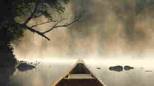 "I believe we have barely scratched the surface in terms of what's left to discover." — Sarah Parcak