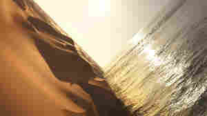 Under The Sun is out December 5th, 2016 on WARP records.