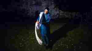 Review: Bombino, 'Azel'