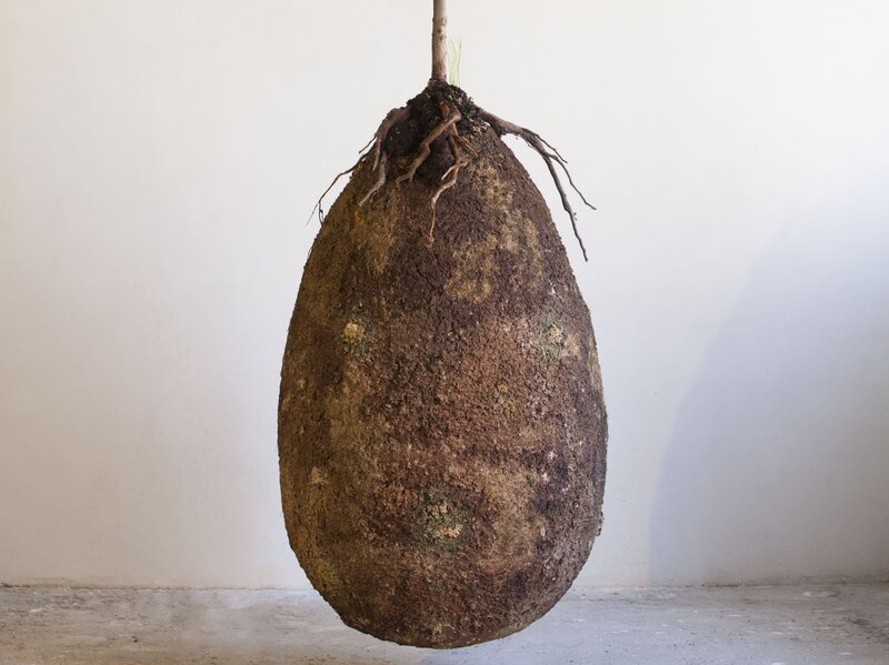 would you opt for an organic pod burial 13 7 cosmos and culture