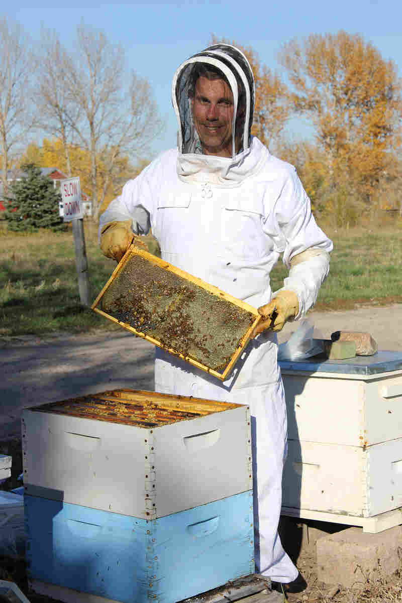 Beekeeper Nick French of Frangiosa Farms loses about one-quarter of his colonies every year. Last year, he had 300 adopters sign up for his farm's adopt-a-bee program.