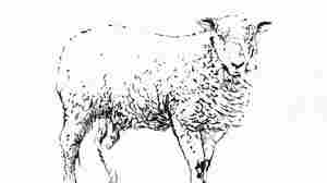 Tourmates Sam Amidon and San Fermin collaborated on "Shiver," based around lyrics taken from the poem "Against Winter" by Charles Simic.