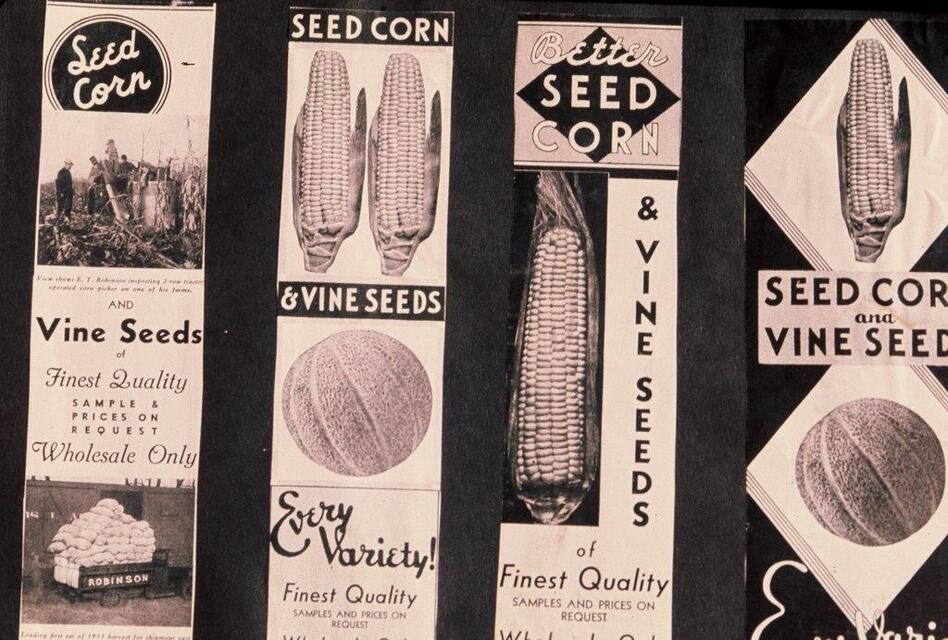 Seed labels from the J.C. Robinson Seed Co. (Courtesy of Rob-See-Co)