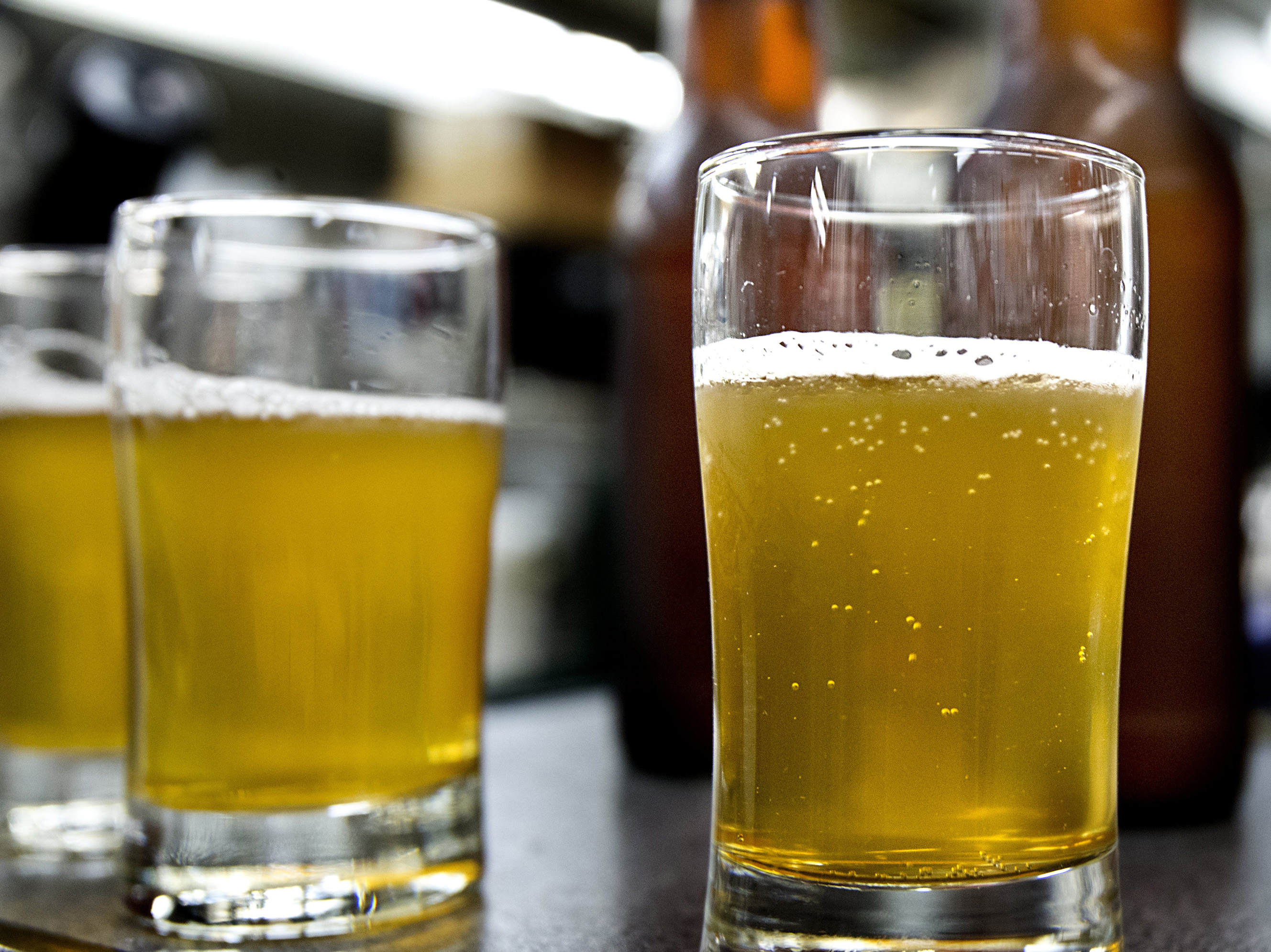 Brewers in North Carolina are planning to donate all of the profits from a new beer to two groups that work on behalf of the LGBT community.