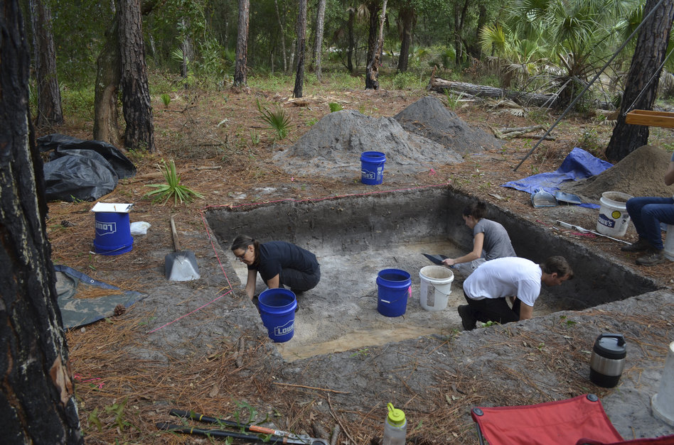 Rachelle Ianelli (left) and Austin Jacobs (middle) both archaeological students from University of Florida, together with Florida Public Archaeology Network representative Rachael Kangas, excavate a section at "Garden Patch," a settlement populated after rising seas forced people to leave Bird Island. (Neill Wallis/University of Florida)
