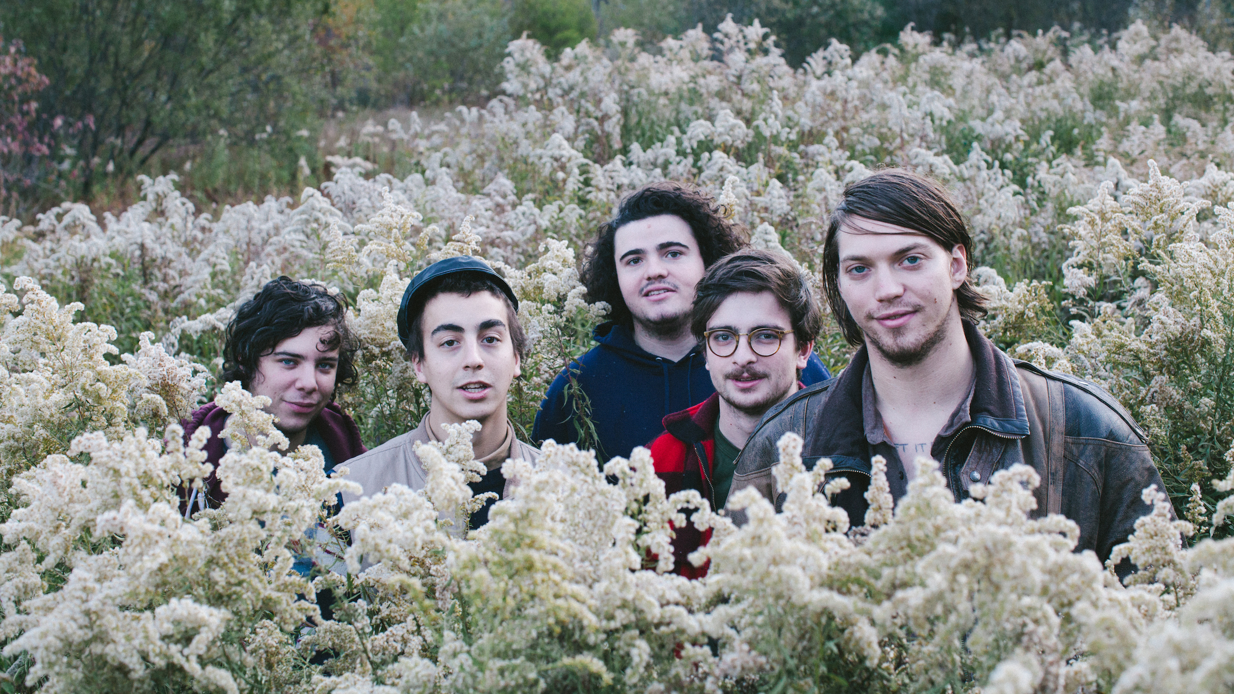 Songs We Love: Twin Peaks, 'Holding Roses' - NPR