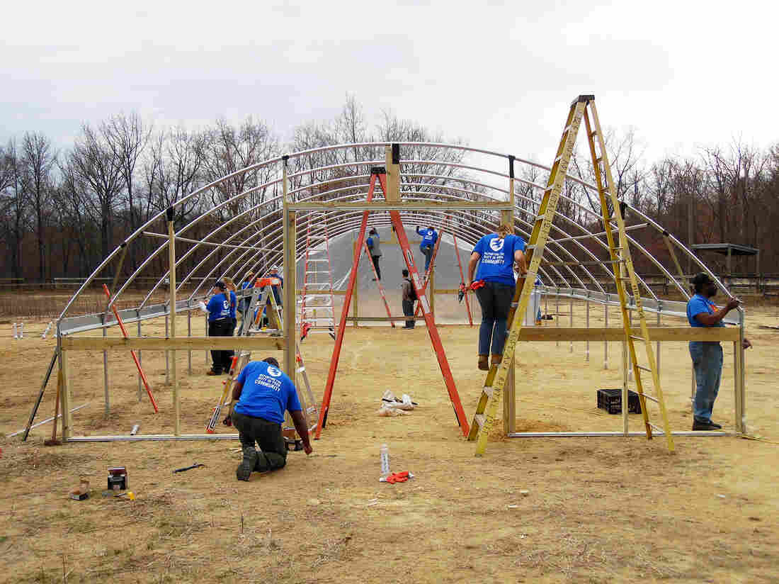 Arcadia Greenhouse build.