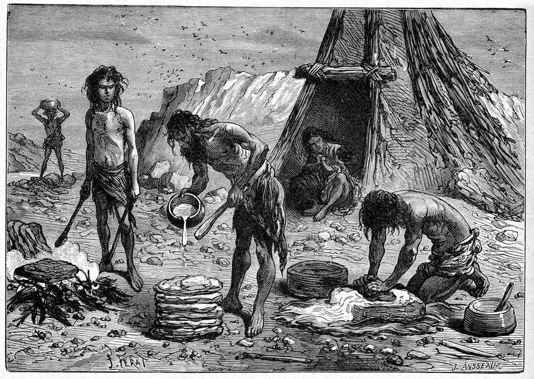 When It Came To Food Neanderthals Weren T Exactly Picky Eaters The Salt NPR