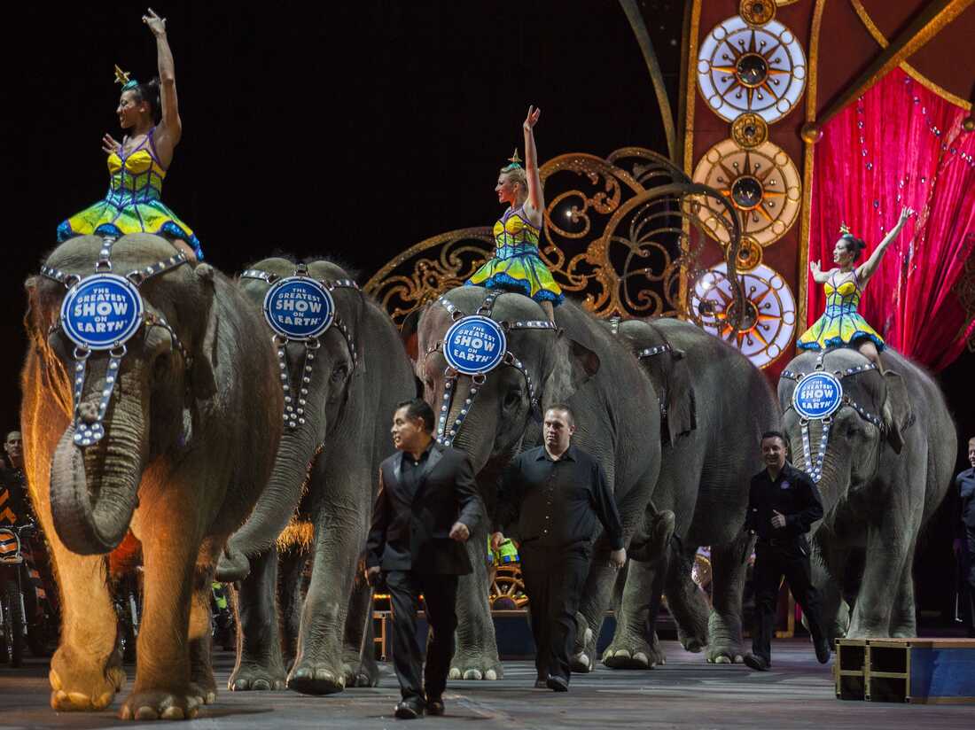 Ringling Bros. Circus Holds Final Shows Featuring Elephants : The Two ...