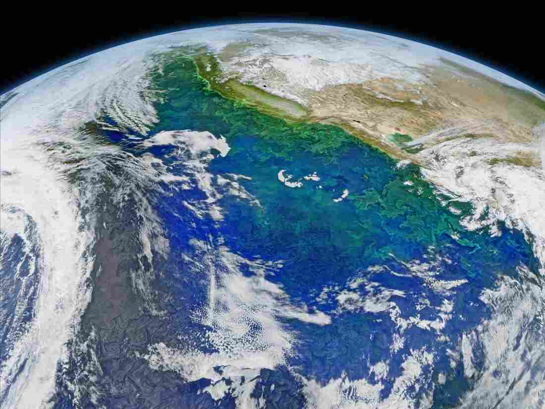 This Feb. 8 composite image reveals the complex distribution of phytoplankton in one of Earth's eastern boundary upwelling systems — the California Current.