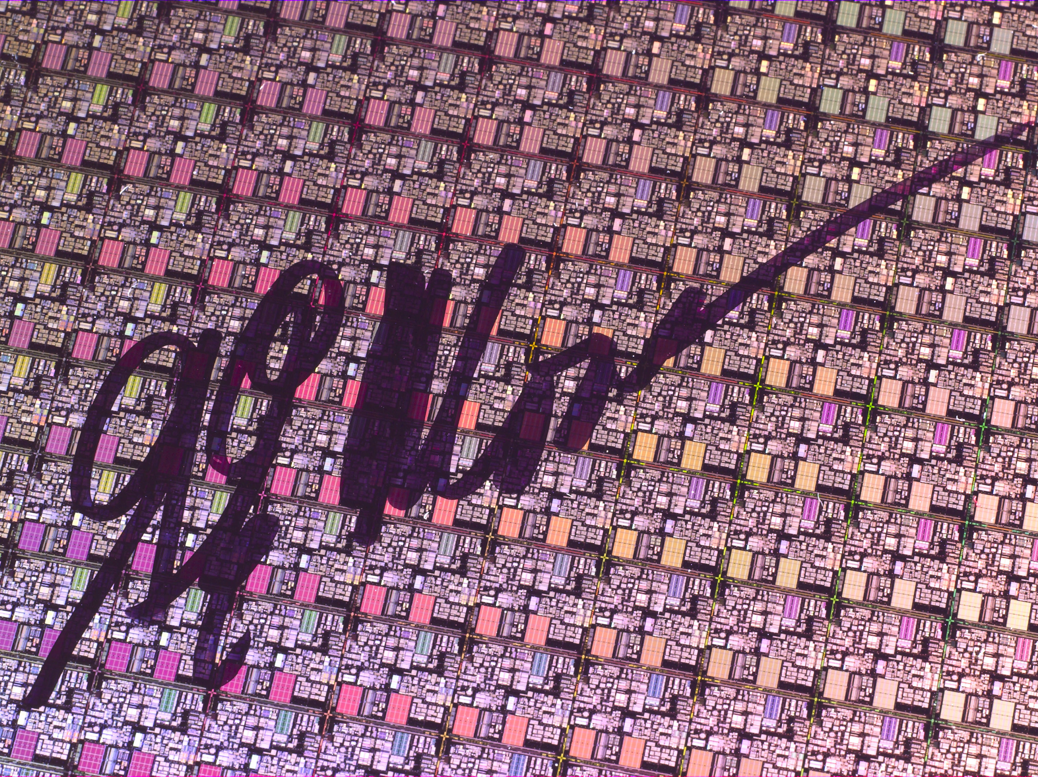 This 2005 silicon wafer with Pentium 4 processors was signed by Gordon Moore for the 40th anniversary of Moore's law. (Science & Society Picture Library/Getty Images)