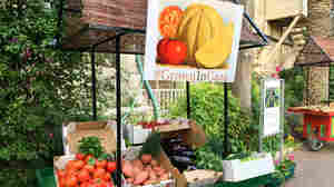 A cart in the garden of the U.S. Consulate in Jerusalem displays produce grown in Gaza: tomatoes, sweet potatoes, eggplant, sweet and hot peppers, green onions and herbs. Like all products leaving Gaza, this shipment needed Israeli approval.