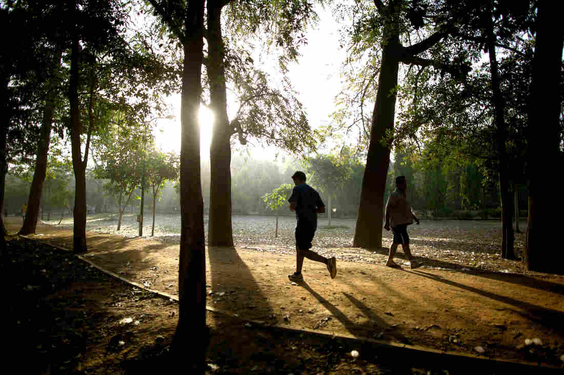 In the Indian capital of New Delhi — the city with the most polluted air in the world — exercising outdoors is as good for your lungs as chain smoking.