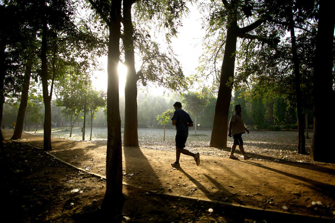 In the Indian capital of New Delhi — the city with the most polluted air in the world — exercising outdoors is as good for your lungs as chain smoking.