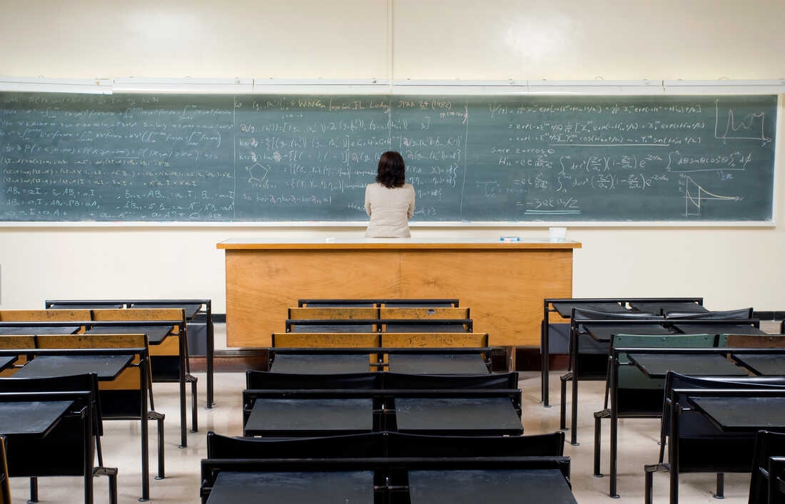 What does it mean to be a "slow professor"?