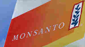 The Monsanto logo is seen at the Farm Progress Show in Decatur, Ill., last year. German drug and chemicals company Bayer AG confirmed Thursday that it has entered talks to buy Monsanto.