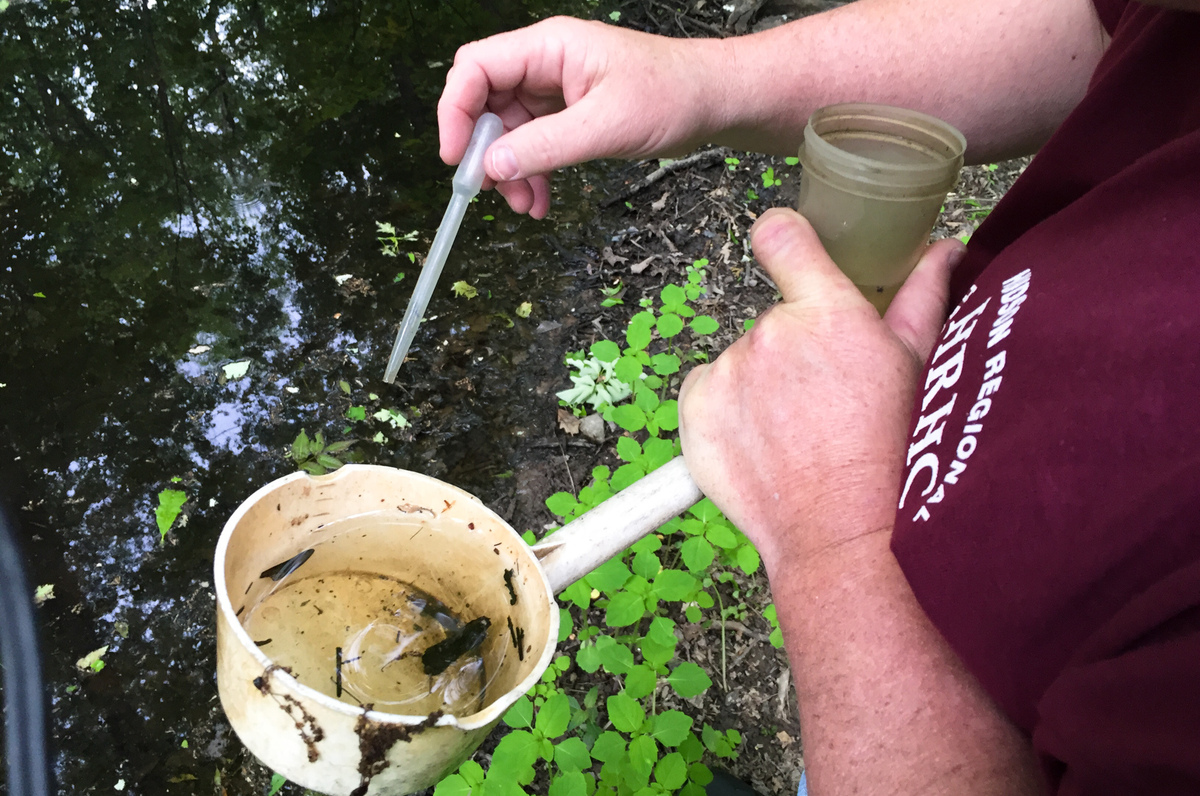 To Kill Mosquitoes That Spread Zika, Strike Before They