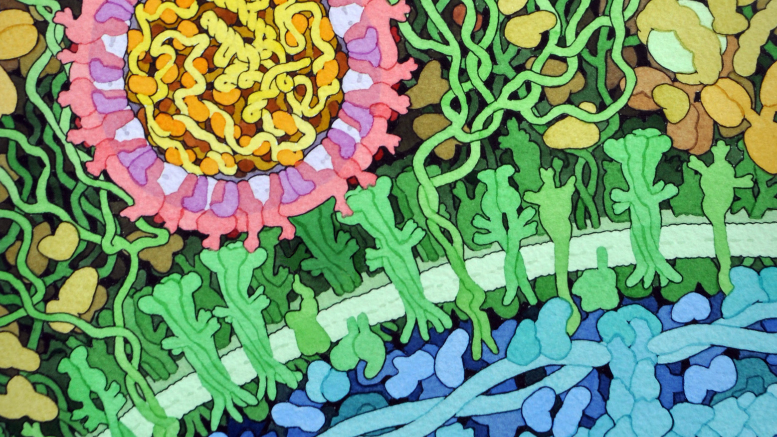 To Make It Easier To Visualize The Zika Virus, This Scientist Drew A