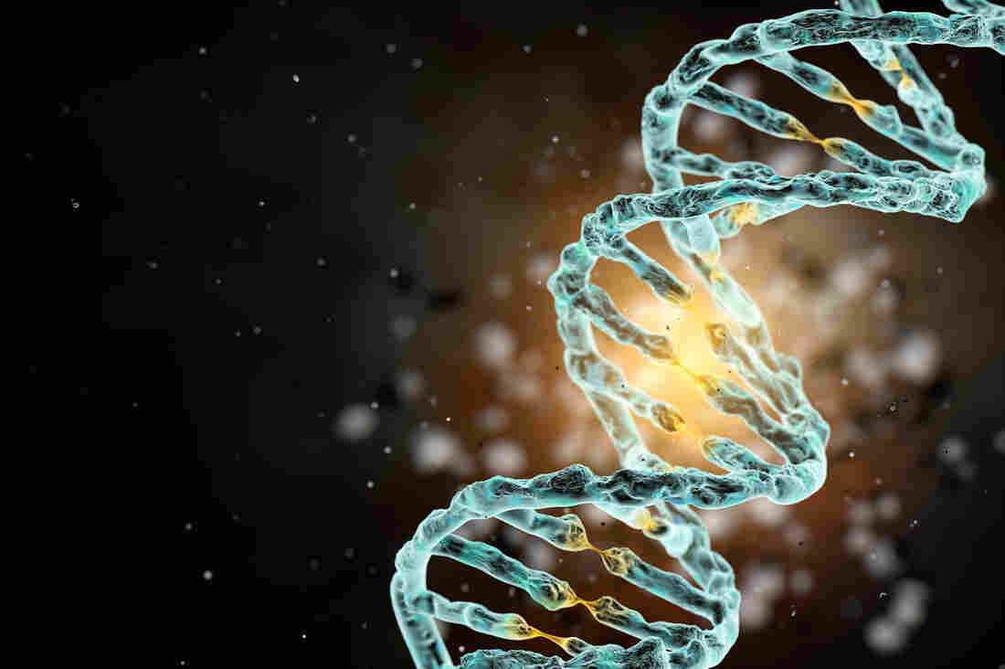 Active strand of human DNA.