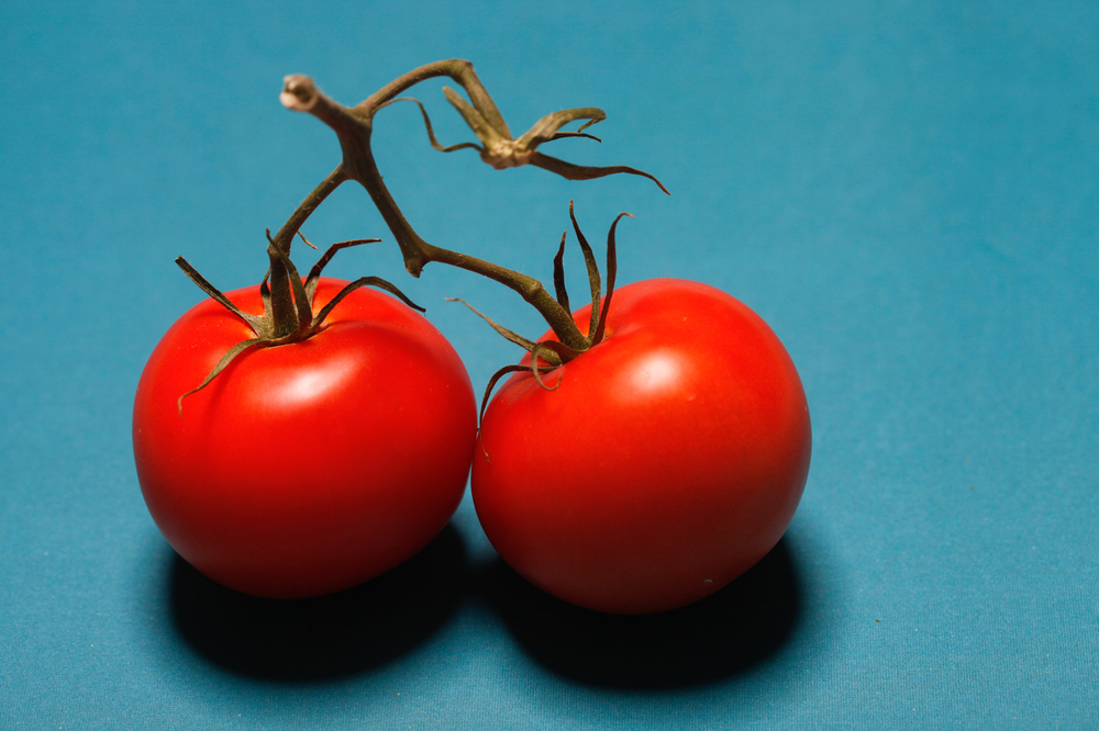 Mexican tomatoes