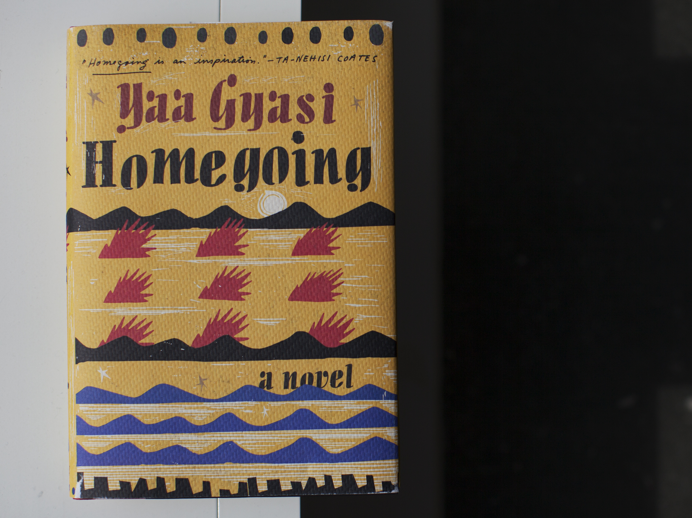 'Homegoing' Is A Sprawling Epic, Brimming With Compassion