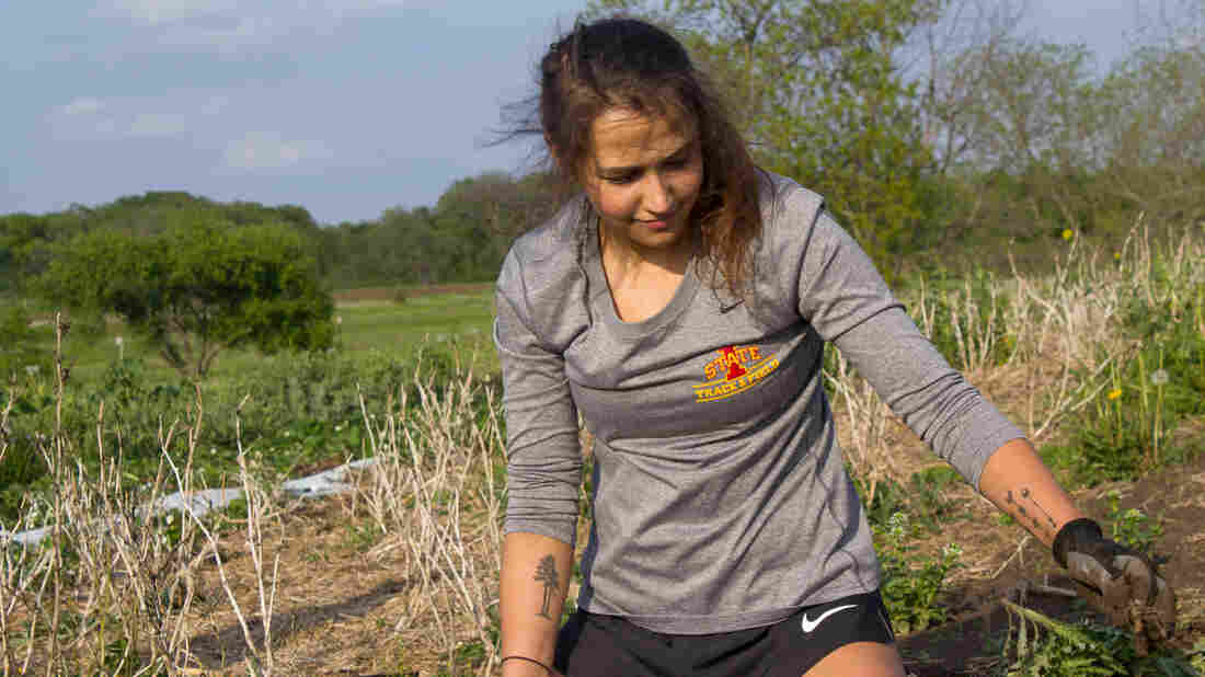 Student Organic Farm outreach coordinator Heidi Engelhardt, a culinary science major, says she's developed a passion for the physical work of growing food.