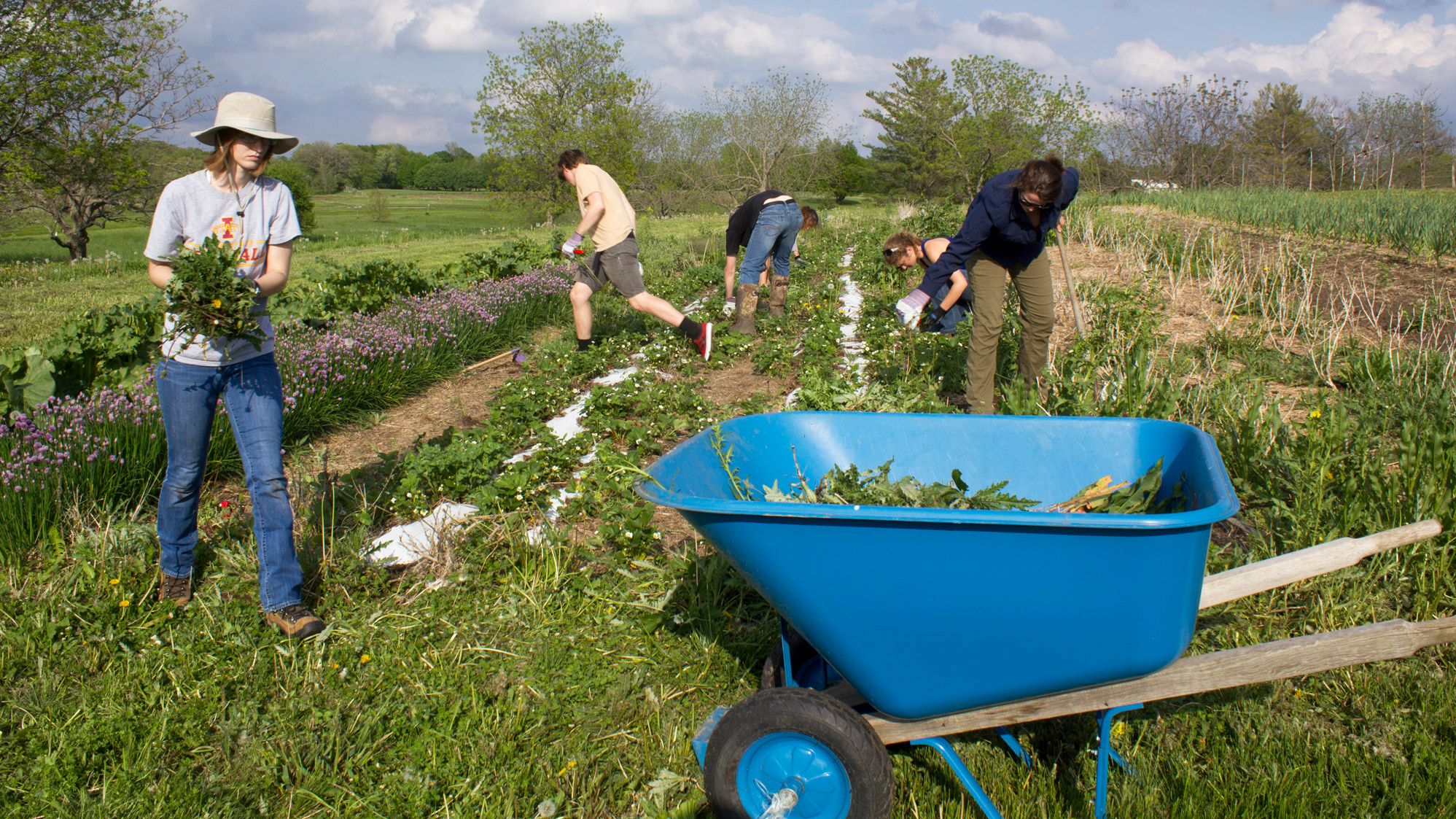 A Student-Run Farm Cultivates Passion For Sustainable Agriculture