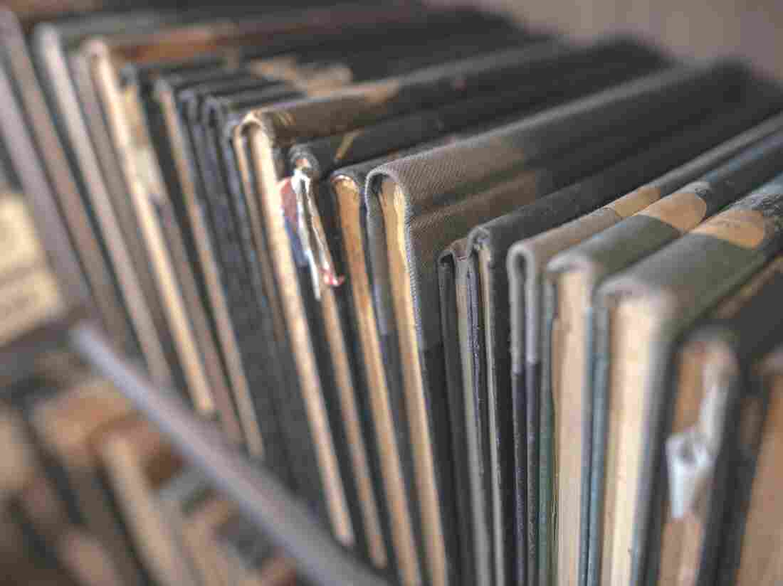Could the use of stories be key in human intelligence?
