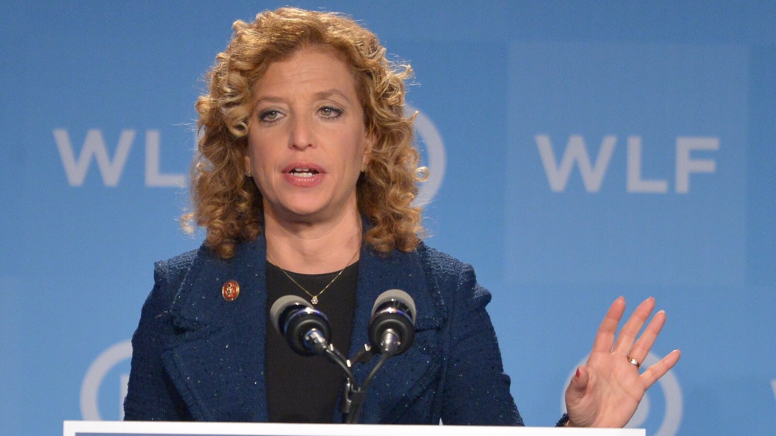 Democratic National Committee Chairwoman Debbie Wasserman Schultz said the DNC is working to secure its network as quickly as possible. She's shown here in 2014.