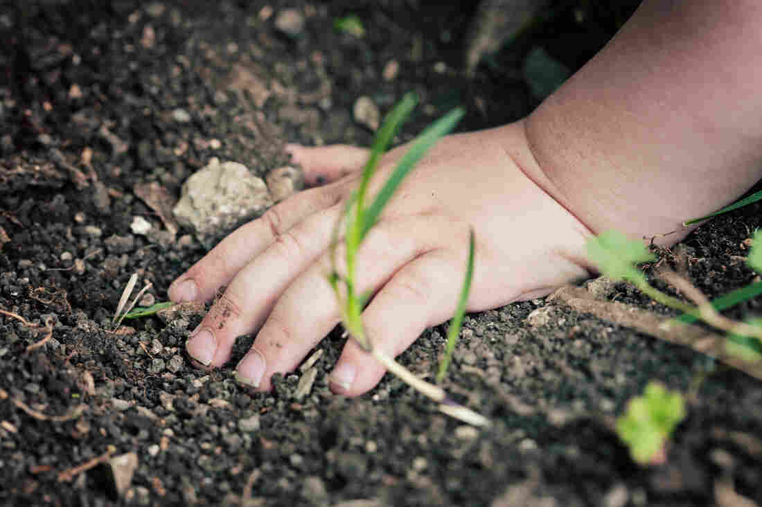 Children can encounter lead in contaminated soil, paint, water and dust.