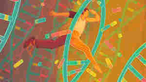 Invisibilia: Is Your Personality Fixed, Or Can You Change Who You Are?