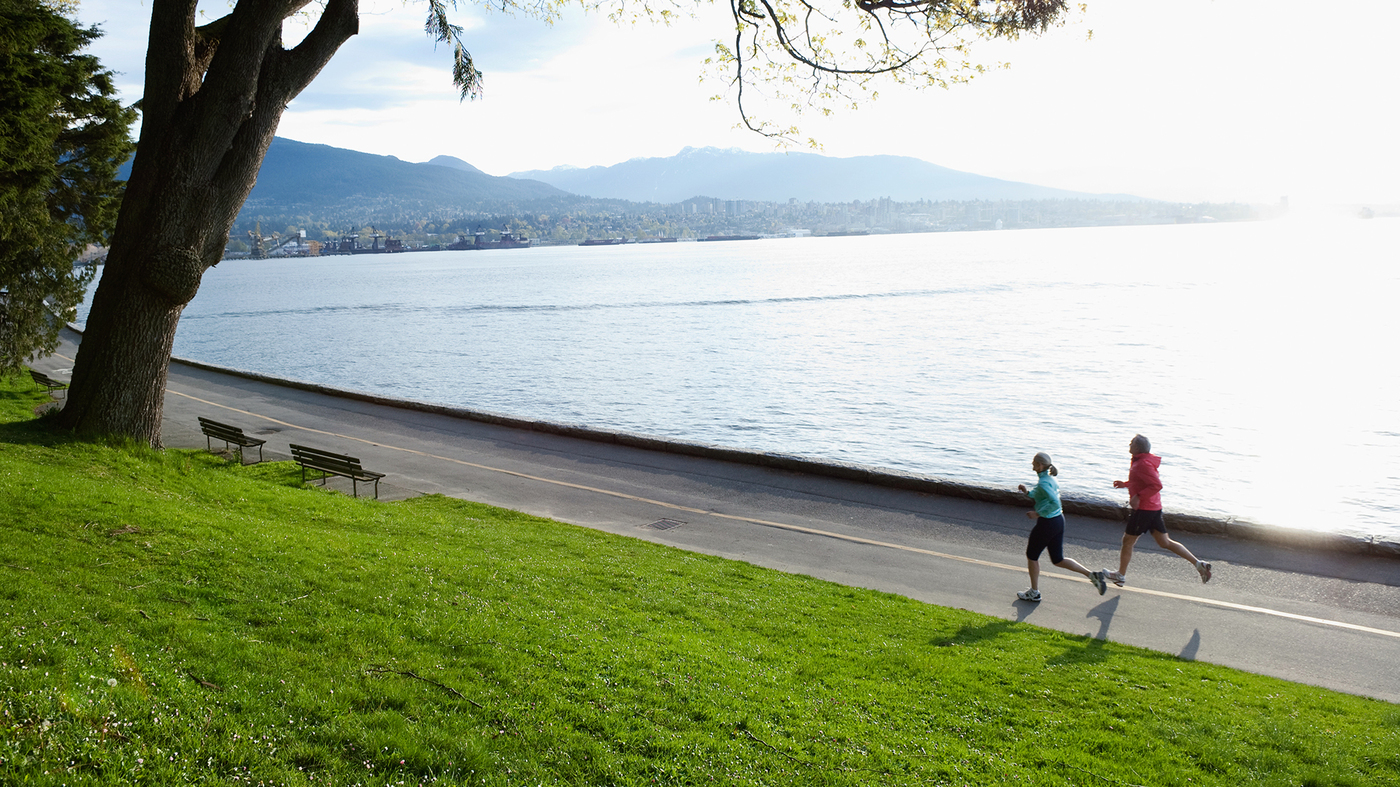 A Protein That Moves From Muscle To Brain May Tie Exercise To Memory