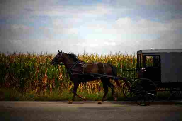 Though their farmland is exceptionally valuable, Amish families typically carry little debt and get around by horse and buggy.