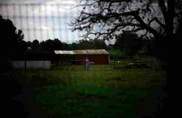 It also helps that the Amish live well within their means.